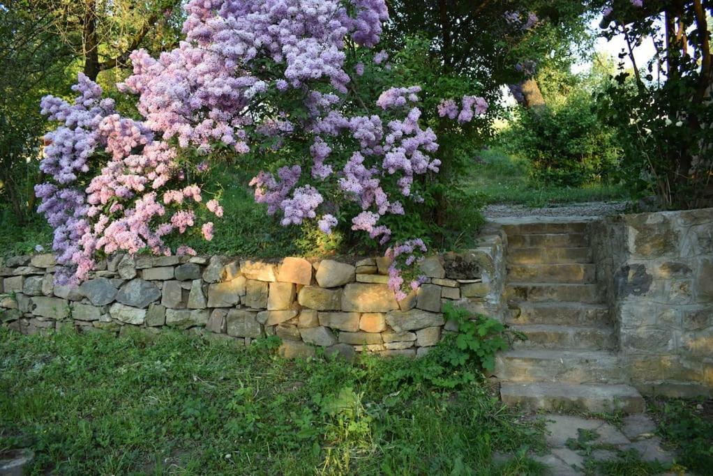 Birdsong Cottage - Peaceful Country Retreat Păuleni-Ciuc Extérieur photo