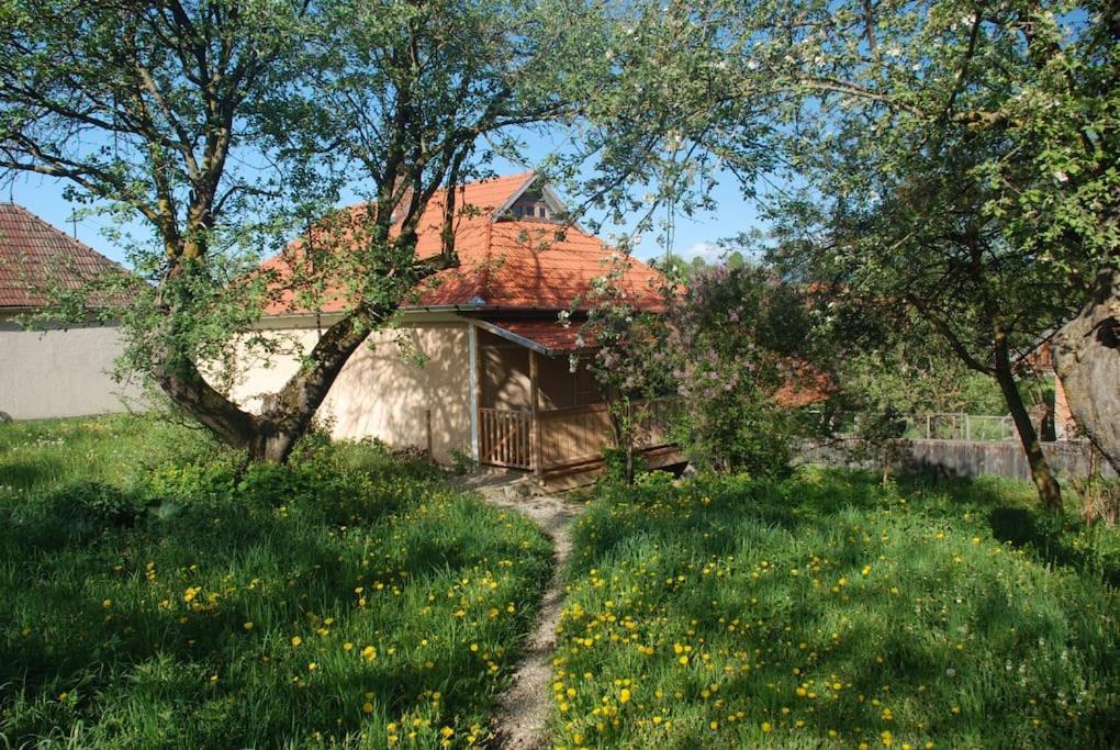 Birdsong Cottage - Peaceful Country Retreat Păuleni-Ciuc Extérieur photo